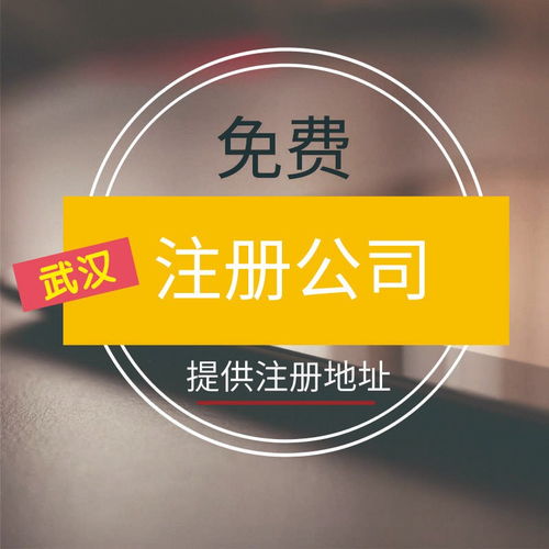 图 东西湖公司注册名称 汇创鑫财税全程在线办理 武汉工商注册