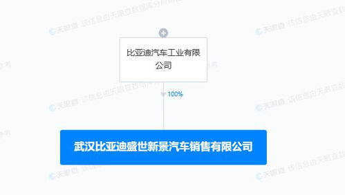 比亚迪在武汉成立销售新公司