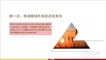 申请外商投资企业变更为内资企业登记注册办理