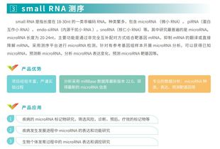 illumina small rna测序