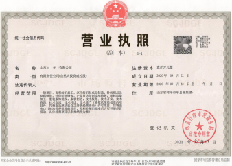 工商、税务、记账公司注册提供内资公司注册服务