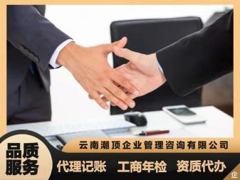 代理记账、税务申报、公司注册提供内资公司注册、个体户注册等服务